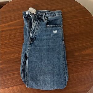 Everlane Way High crop jean